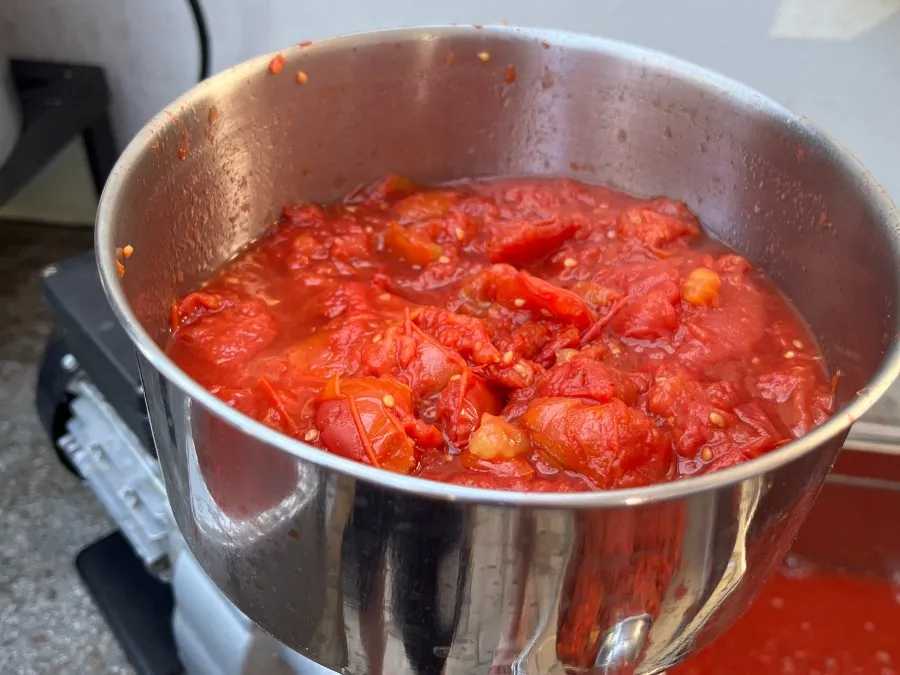 Veselje vrtičkarja: Ko paradižnik obrodi in zadiši domača omaka